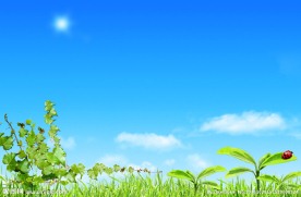 蓝色天空藤蔓背景