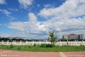 校园风景