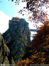 老君山金顶