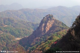 红绿相间的山