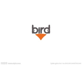 鸟类logo