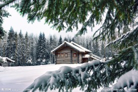 雪景