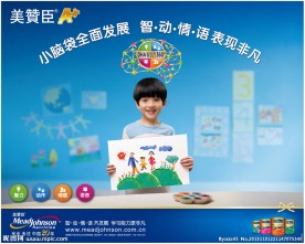 美赞臣2013新元素A12