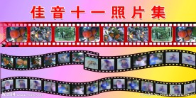 照片展板
