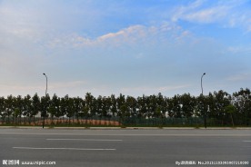 公路绿化带