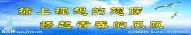 大海 海鸥 学校展板