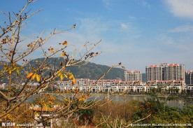 泉州西湖