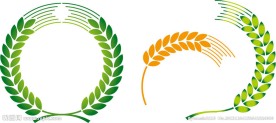 麦穗花纹