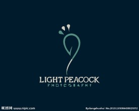 孔雀logo