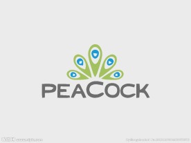 孔雀logo