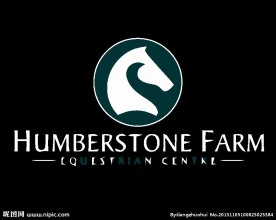 马类logo