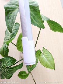 LED 灯管