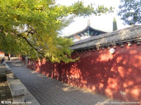 少林寺秋景