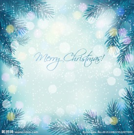 松树枝边框背景