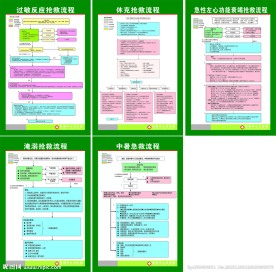 医院抢救流程图