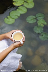 品茶