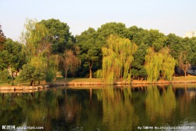 湖畔风景