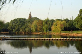 湖畔风景