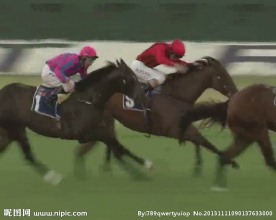 赛马视频素材