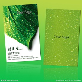 绿叶科技名片设计模板