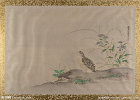 国画 鹌鹑