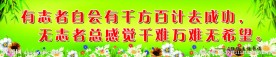 班级文化建设