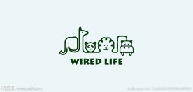 动物logo