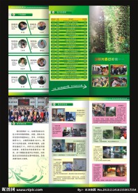 学校三折页