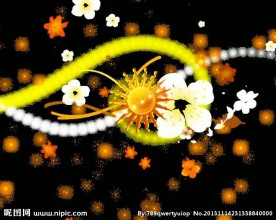 动感花纹视频素材