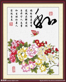 菊花素材下载