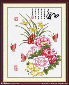 菊花素材下载