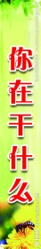 班级展板