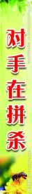 班级展板