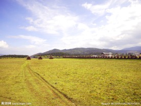 草原