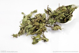 薄荷叶 薄荷 荷叶