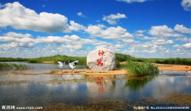 鹤壁神鹤