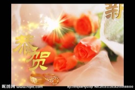 婚礼视频素材