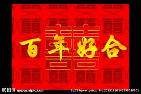 婚礼视频素材