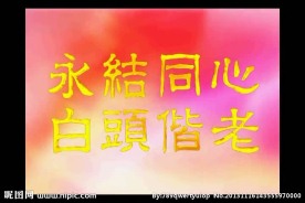 婚礼视频素材