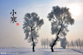 雾凇