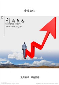 企业文化 创新