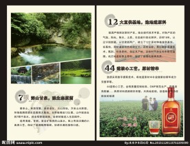劲酒