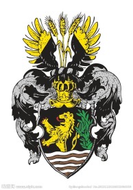 徽章logo
