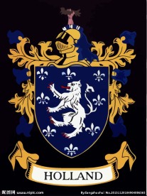 徽章logo