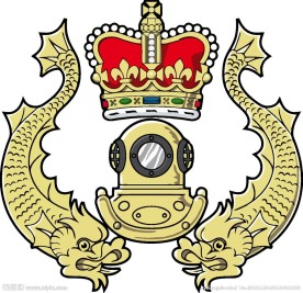 徽章logo