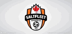 徽章logo