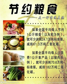 节约粮食
