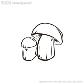 牛肝菌矢量素材