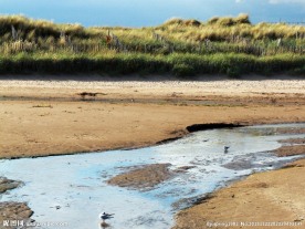 英国 河流 沙滩