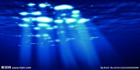 阳光海洋海底